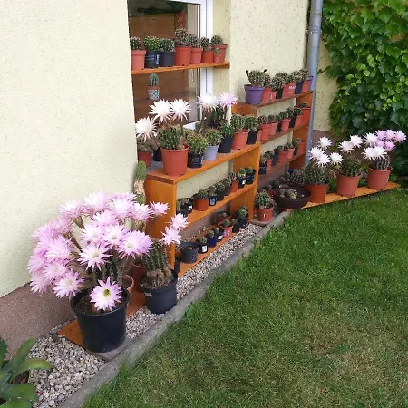 Baerbel, Baerbel Apartman *